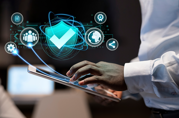 Automated software testing and QA services